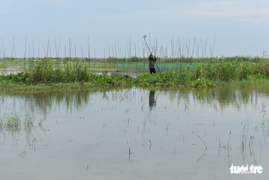 Đặt dớn mùa lũ